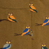 Katoenen uilensokken voor heren - Pistache groen & kosmos blauw | Doré Doré